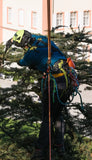 Edelrid TreeRex Triple Lock Harness